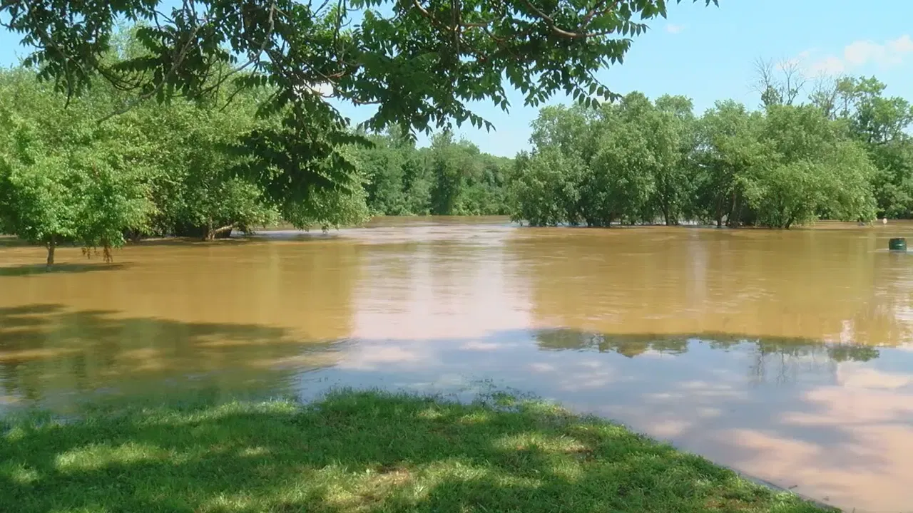 RevealX Tacticam Trail Camera we are using for our survey