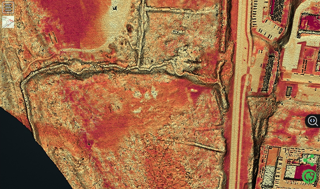 LiDAR Visuals depicting topographic and hydrologic features of the swamp