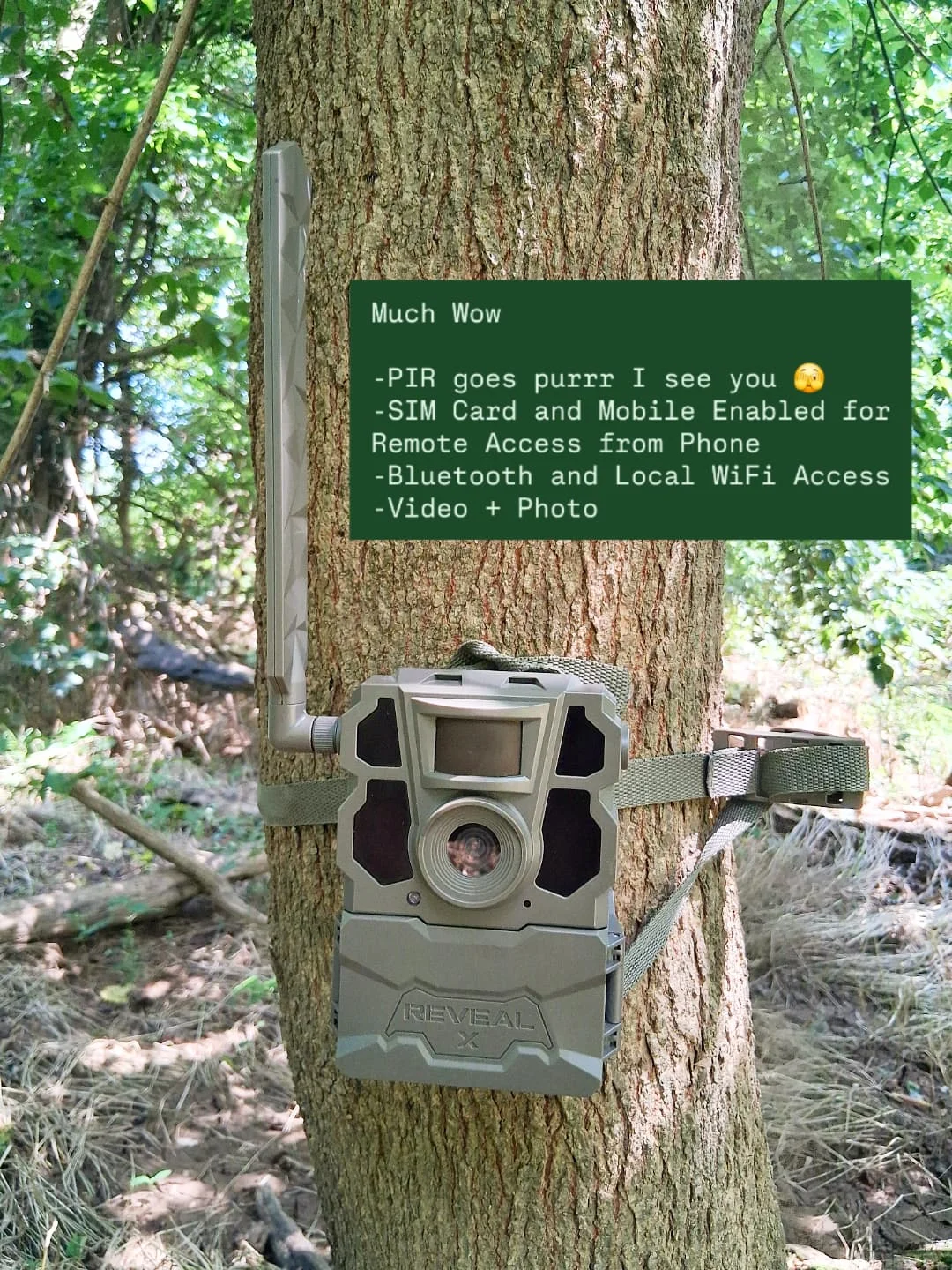 Downtown Wildlife Survey mission